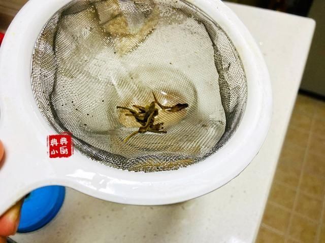  学会|高温天气，学会了自己煮奶茶，再也不用叫外卖了