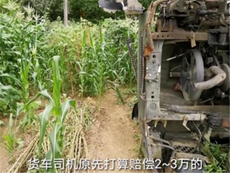  农民|大货车冲进庄稼地，老农民索赔100万，司机：你的地里种的金子？