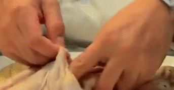  顶级|这道顶级淮扬菜，耗时7小时才能上桌，手艺近乎失传