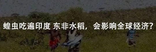  谢氏|赞助央视首档综艺，国内营业收入超8百亿，正大谢氏家族创业史