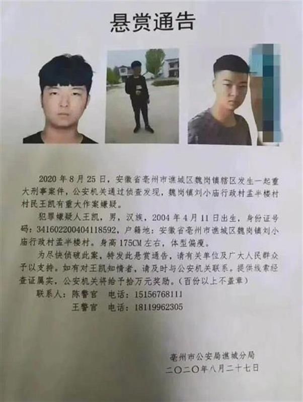 楚天都市报|亳州16岁少年杀害婶婶潜逃，当地村民不敢下地干农活