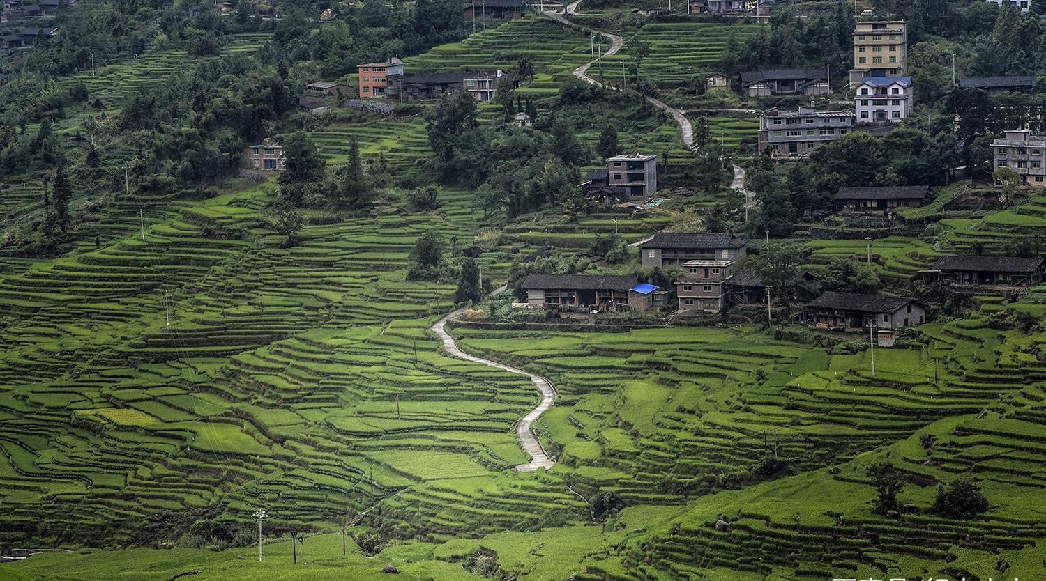 蛤蟆|养在深闺的联合梯田，蛤蟆一跳过三丘