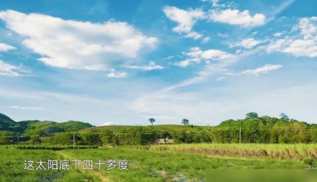 向往的生活|《向往4》的录制到底有多累看清胡先煦脖子上的肤色对比就明白