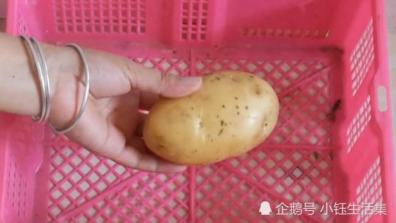  发芽|才知道，土豆要这样保存，不发芽也不腐烂，放一年都不坏