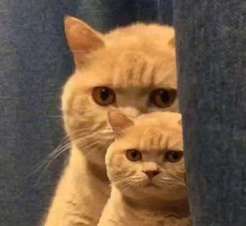  护肤|《浪姐》里热搜最多年龄最大女星的护肤秘诀，才是含金量最高的！