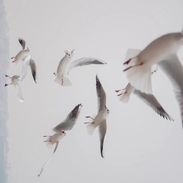  shui|陈燕：光不度，shui水成文