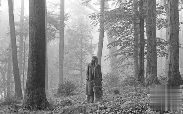  Music|Taylor Swift新专辑创下Apple Music 24小时发行量纪录