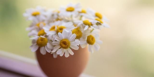  淡然|人生，简单、洒脱、淡然、放下