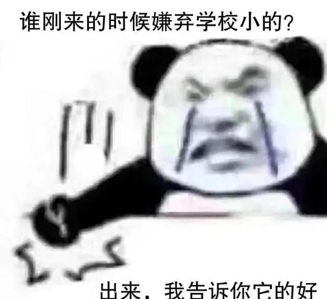  大学生|19级大学生的现状，真的不要太真实了，快来看看我们有没有达成共识