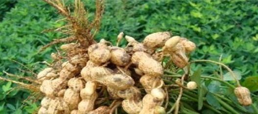 美容|会吃的人最健康，常吃3种食物，排出毒素，美容护肤，改善睡眠