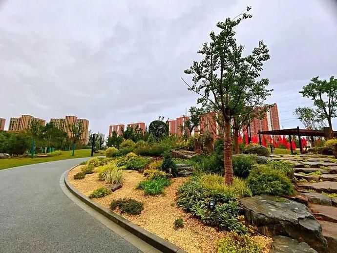 家门口|推窗见绿，拥抱家门口的绿色诗意空间