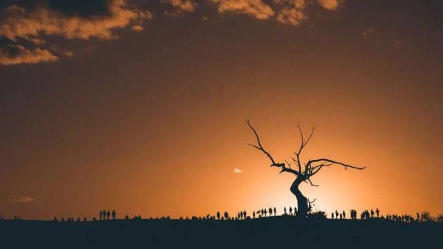 额济纳旗|【阅读】有一种心动,叫额济纳的秋天