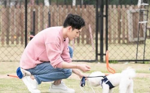  忘不了|暖心的“忘不了餐厅”归来在即：为什么选在上海？我们和总导演聊了聊