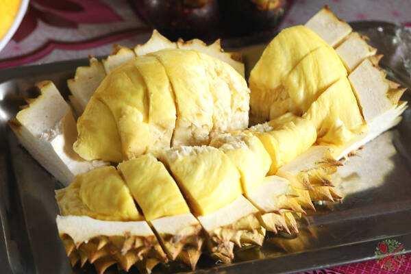 利尿|大热天的吃什么水果西瓜利尿、甜杏开胃,榴莲山竹搭配一起吃