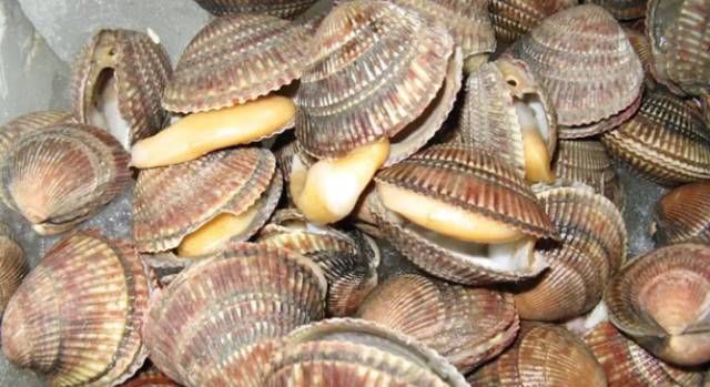 今日|今日开海!这84种海鲜,你都认识吗?你真的会吃海鲜吗?