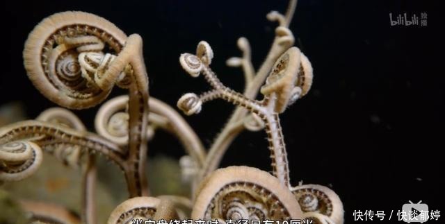  视效|仅4个人，拍出了今年最顶级的视效大片