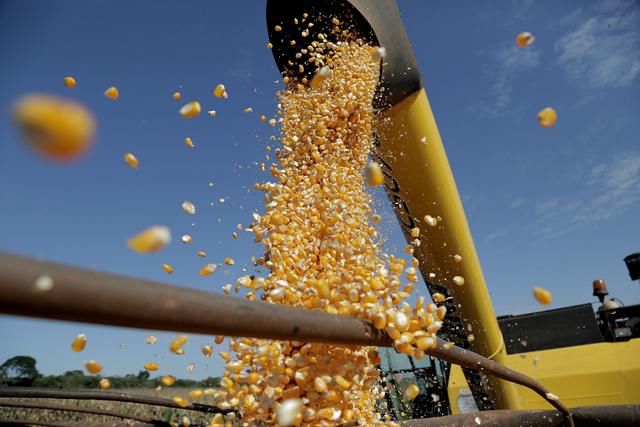 中国调整玉米进口方向转向巴西，美国失去“霸主”地位