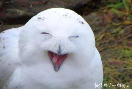 全班同学|班主任让我回家叫我爸来，然后当着全班同学的面，把我俩一起踹！