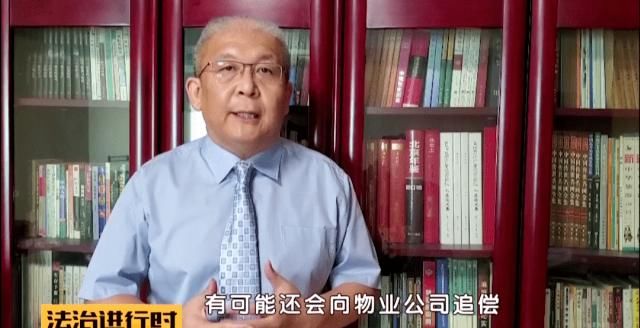  轿车|北京：小区突然刮大风，大树砸坏5辆轿车