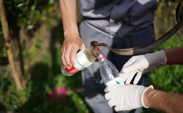  陈家镇花|济向山海 | 与水结缘，丈量生态文明建设之路！