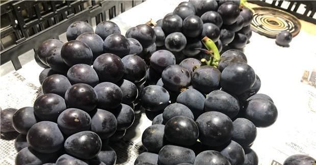 农药残留物|洗葡萄时,用盐水洗等于吃虫卵,教你正确洗法,好吃又卫生