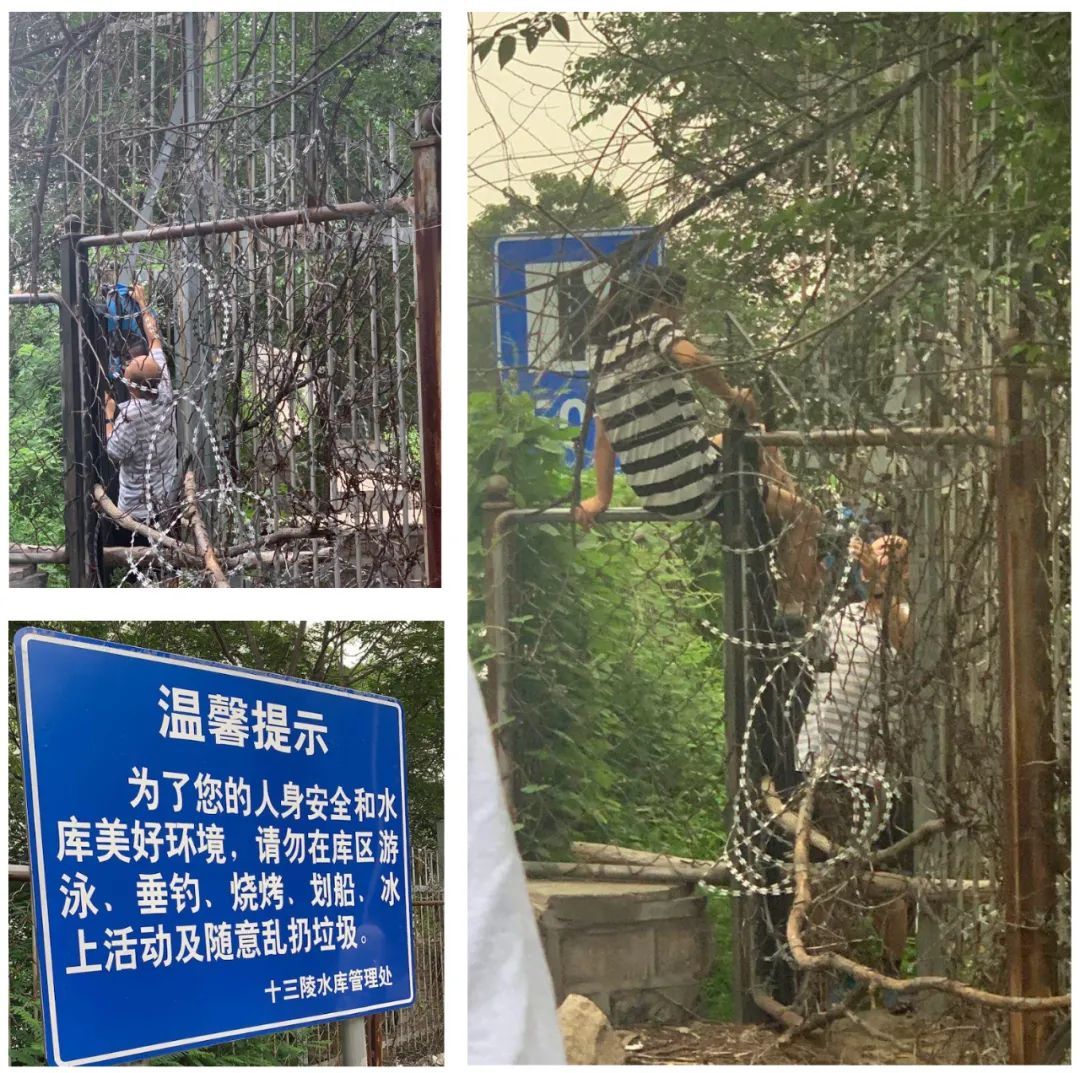 库区|水库变浴场，岸边变集市！泳者人身安全和库区环境谁保障？