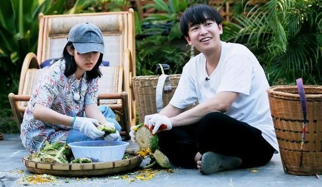  巅峰|不断被贬低的《向往4》，恰恰是这一综艺的巅峰