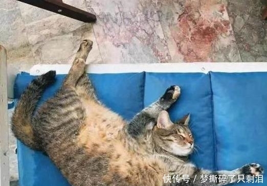  每日|每日一笑：这就是奥特曼下班后的生活吧