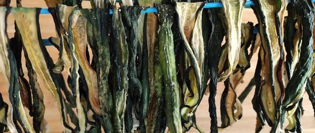  吃不完|巧用三伏天把吃不完的黄瓜晒成干，留着冬天炒肉吃，又香又脆