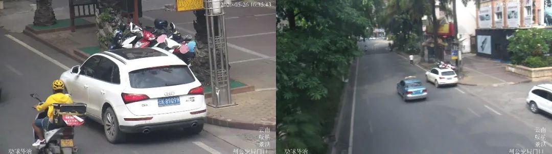 市民|市民请注意！麻烦你不要毁了中国云南西双版纳的形象