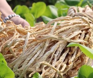 炒着吃|秋天到，农村大娘晒四种干菜，比新鲜的还好吃，给肉都不换