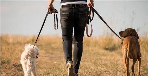  遛狗|悲剧！女子遛狗时不小心跌倒，惨被2爱犬的狗链绕住脖子窒息身亡！