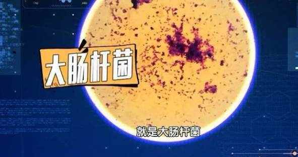 湿巾|又有餐饮店检出大肠菌群，开水烫、湿巾擦……到底能不能杀菌消毒？这样做才正确~