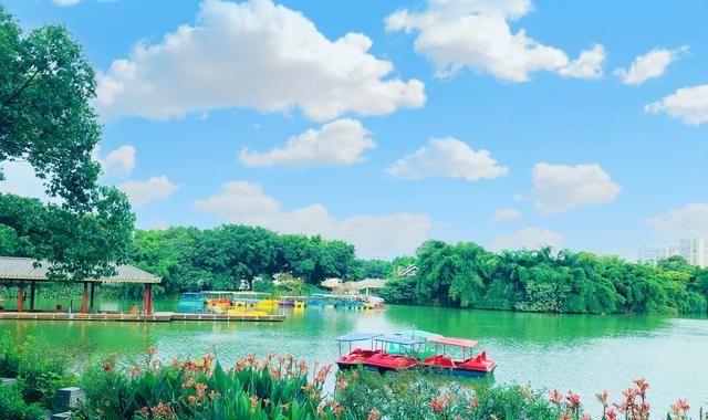 路上|感悟人生:人生每走一段路,都是一种感悟