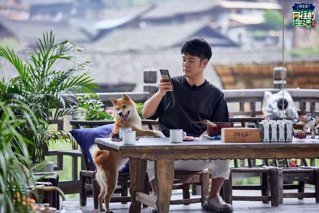  向往|《向往的生活》到底出了什么问题