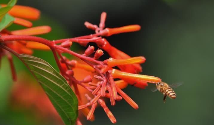  高涨|7月开始财气大旺，好事连连，贵人指路，收入高涨的四大生肖