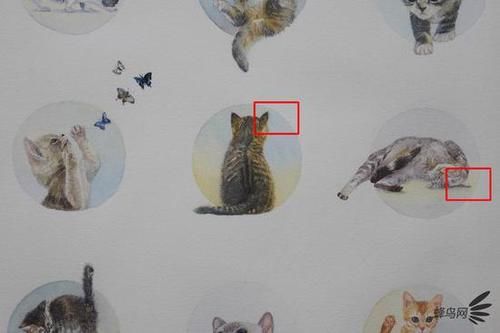  MACRO|“经典”的长焦微距 适马105mm F2.8 DG DN MACRO | Art评测