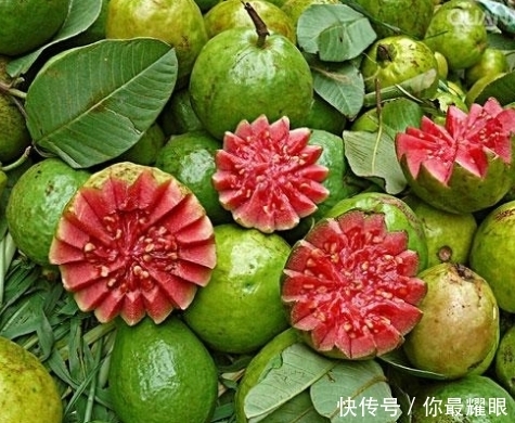 红心|南方常见的“红心”水果,可治疗糖尿病、保护肝脏,还能促进排毒