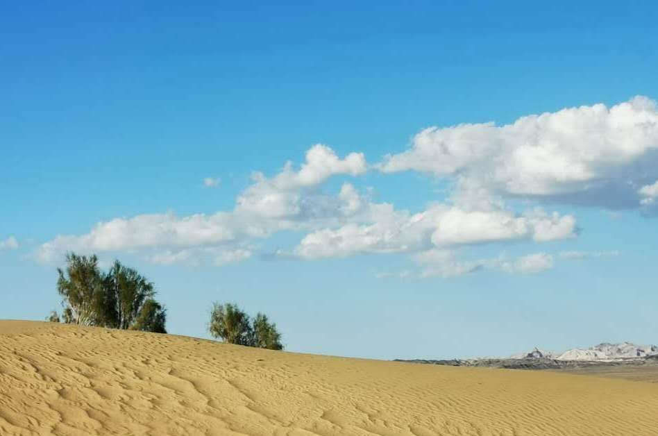 女性更|男主外女主内,应该被推崇吗