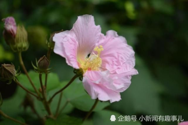 运势|7月开始运势一路涨红,正财偏财齐旺,有福享有钱花的生肖