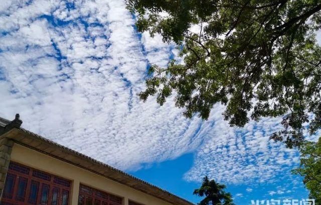 青岛|好好珍惜今天的“青岛蓝”吧，过几天雨又要来了！