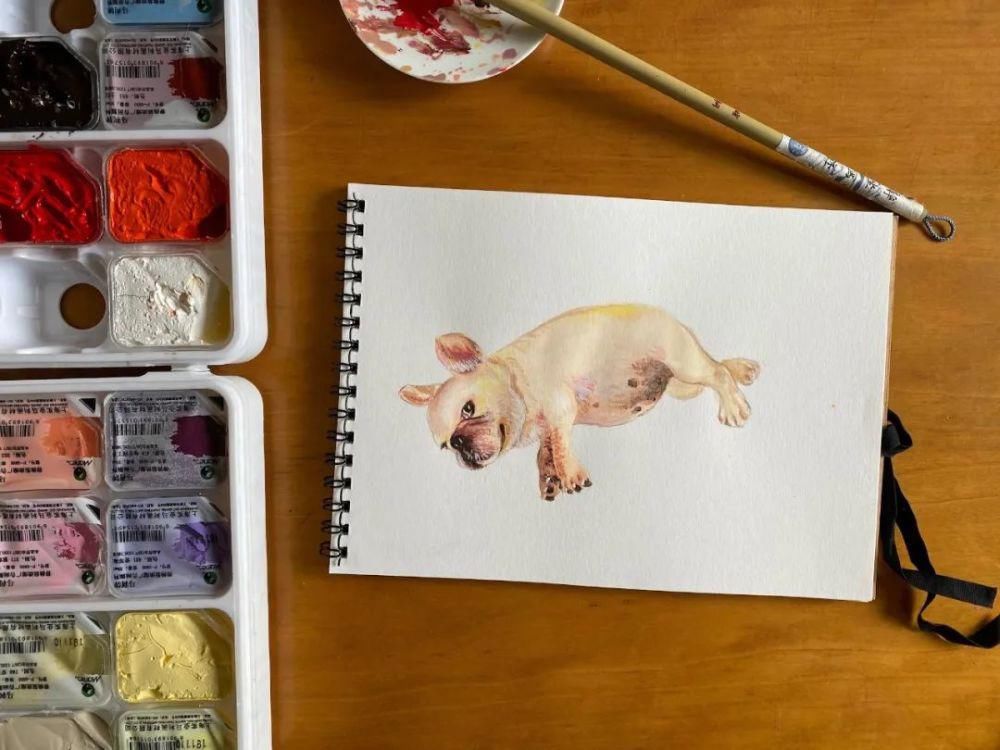  奶奶|我越来越喜欢这样的中国式陪读