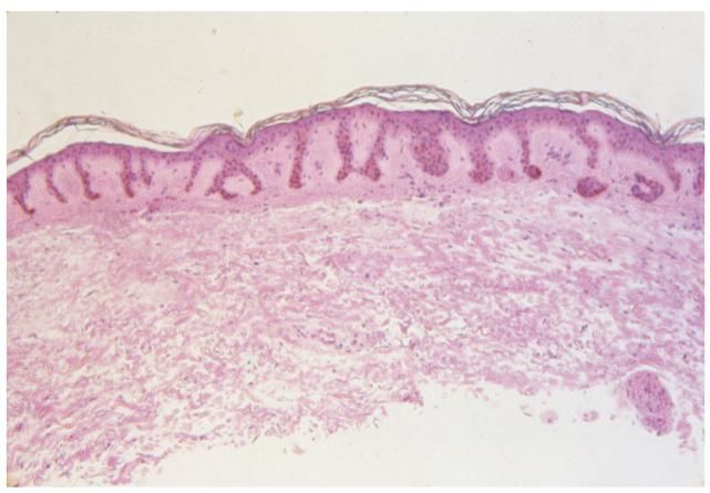 效果|抗老护肤品怎么用，效果最好？丨AD