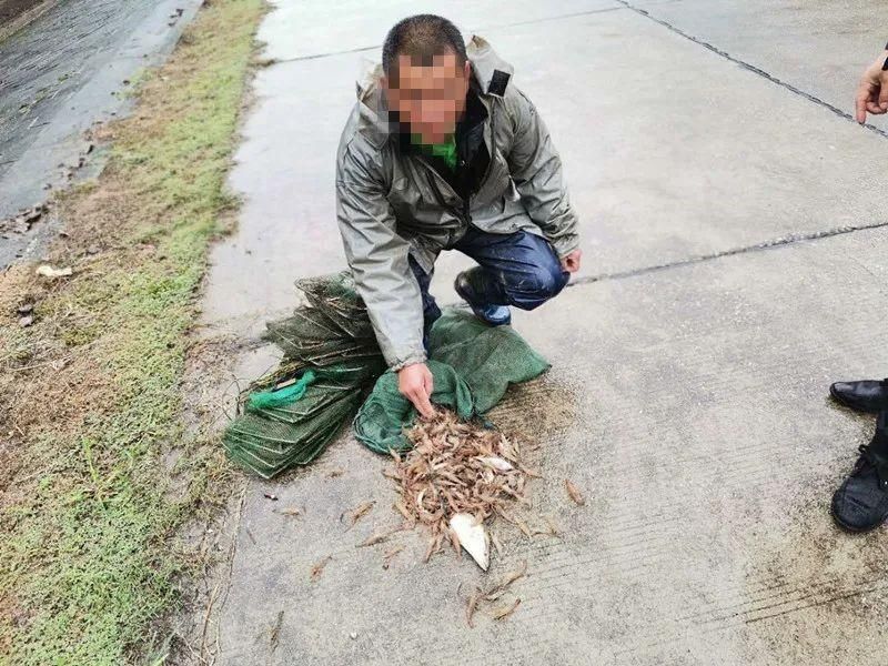 非法|【打击非法捕捞】四男子对禁渔令置若罔闻 把自己“捕”入法网