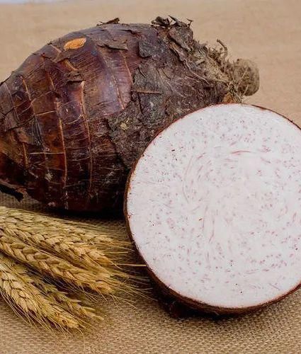 收集|就在明天!海沧 “丰收集”!