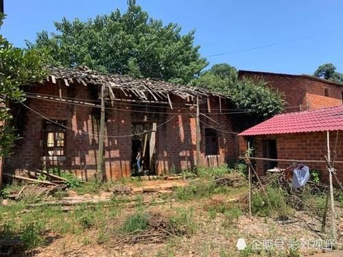  宋小女|岁月有痕，张玉环被羁押9778天，妻儿的命运全被改变