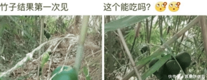 照顾|“女同事聚餐喝醉了,该怎么照顾她呢?”网友们也是有才