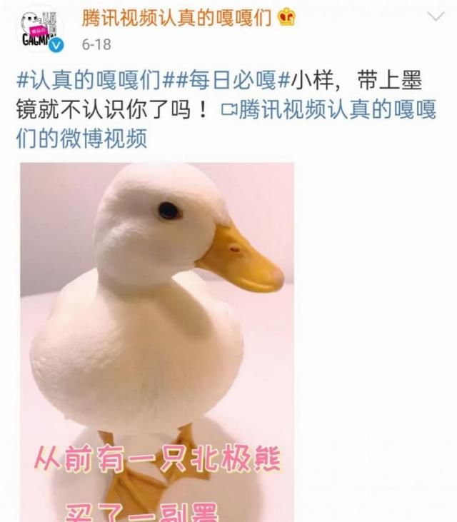  别尬|《认真的嘎嘎们》：别尬笑了，中国喜剧人