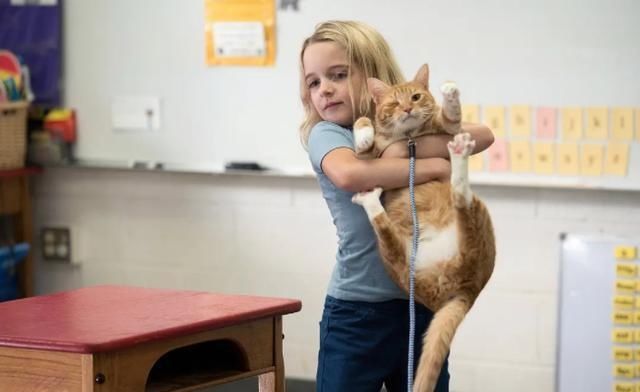  百看不厌|11部“大叔和萝莉”的高分电影，每一部都百看不厌！