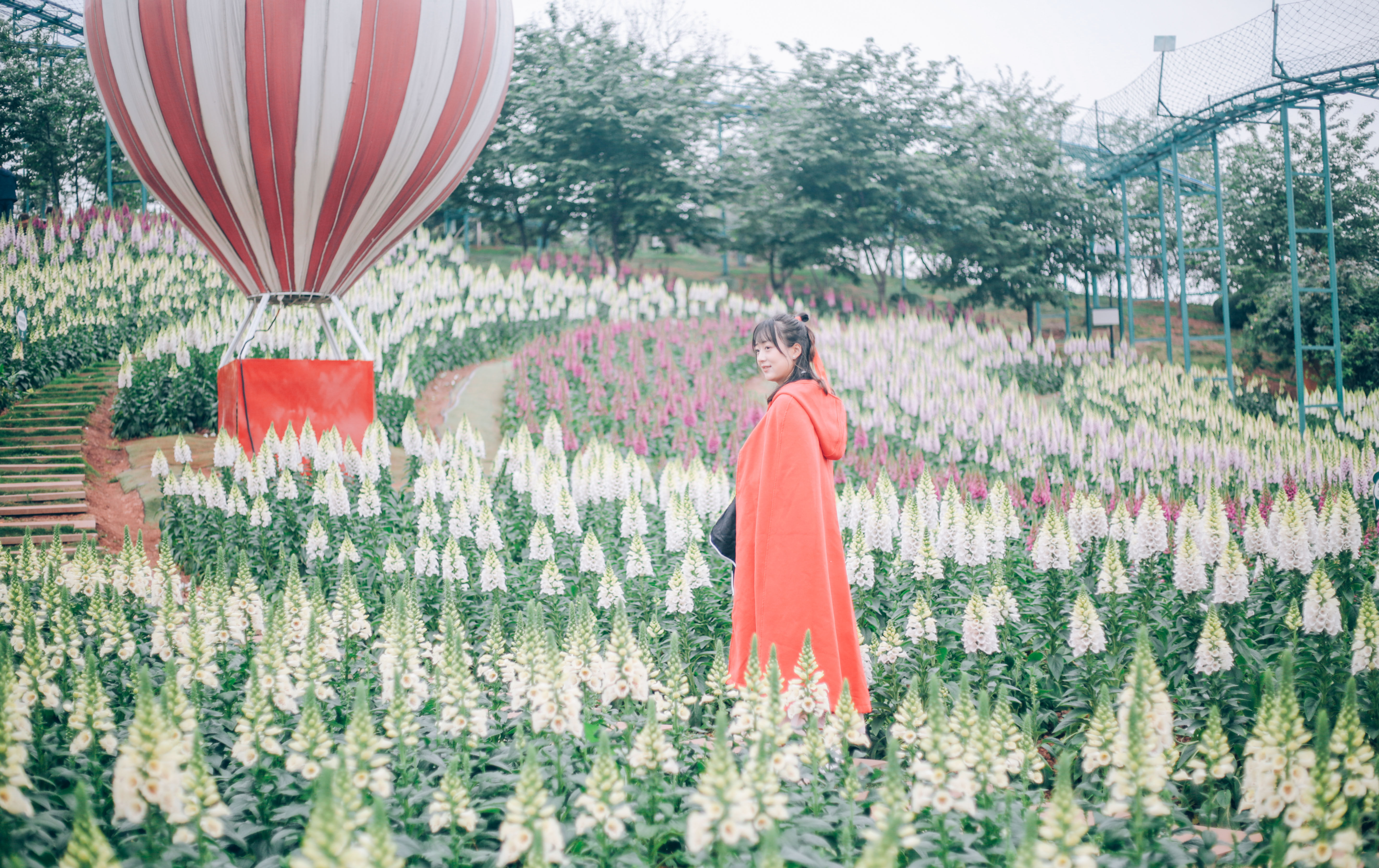 记录一下|成都,撑肚!成都的旅途中,少不了美食的“浓墨重彩”